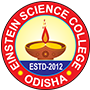 einstein college